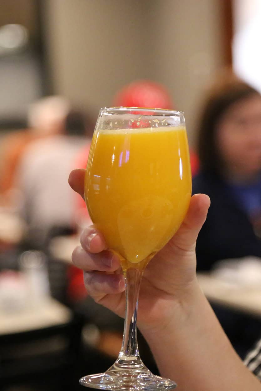 Hand Holding a Mimosa